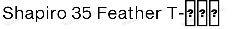 Shapiro 35 Feather T字体转换